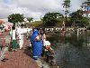 Mauritius: offerings at the Hindu sacred lake