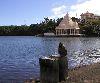 Mauritius - Grand Bassin / Ganga Talao: Hindu sacred lake used for Maha Sivaratri festival - monkey - photo by A.Dnieprowsky