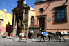 Mexico - San Miguel de Allende (Guanajuato): donkey - Calle San Francisco at Pedro Vargas / burro (photo by R.Ziff)