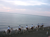 Mexico - Veracruz: mounted guards on the beach (photo by A.Caudron)
