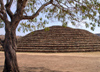 mexico63  Mexico - Jalisco state - Teuchitlan - Guachimontones Pyramids - central round pyramid - photo by G.Frysinger