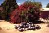 Mexico - Oaxaca de Juarz (Oaxaca): famous black pottery (photo by Galen Frysinger)