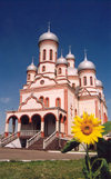 Moldova / Moldavia - Drochia: church and sunflower (photo by M.Torres)