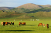 Khorgo-Terkhiin Tsagaan Nuur NP, Mongolia: horses and the Khangai Mountains - banks of the White Lake - photo by A.Ferrari