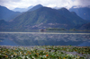 Montenegro - Lake Skadar: tourist boat - photo by D.Forman