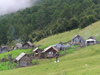 Montenegro - Crna Gora - Komovi mountains: Katun tavna - forest, village houses and sheds - photo by J.Kaman