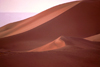 Morocco / Maroc - Tinfou (Souss Massa-Draa region): dunes - photo by F.Rigaud