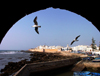 Morocco / Maroc - Mogador / Essaouira: rocky coast - photo by J.Kaman