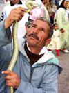 Morocco / Maroc - Marrakesh: playing with a snake (photo by J.Kaman)