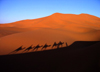 Africa - Morocco / Maroc - Erg Chebbi: shadow of the caravan - desert - photo by J.Kaman