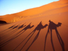 Africa - Morocco / Maroc - Erg Chebbi: shadow of the caravan III - desert - photo by J.Kaman