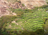 Morocco / Maroc - Amskere village (Marrakesh Tensift-Al Haouz): terraced fields - agriculture in the Imenane valley - photo by J.Kaman