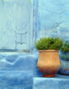 Morocco / Maroc - Chechaouen: decoration - vase at doorstep in the Medina - photo by J.Banks
