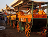 Morocco - Marrakech: Place Djemaa el Fna - orange juice sellers - photo by M.Ricci