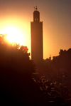 Morocco / Maroc - Marrakesh / Marrakech / Marraquexe: tower at sunset - medina - silhouete of minaret - Unesco world heritage site (photo by F.Rigaud)