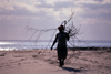 Pemba / Porto Amlia, Cabo Delgado, Mozambique / Moambique: a woman collects fire wood on the beach - silhouette / uma mulher recolhe lenha na praia - silhueta - photo by F.Rigaud