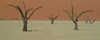Namib desert - Deadvlei - Hardap region, Namibia: 400 year old dead trees - photo by J.Banks