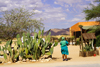 Solitaire settlement, Hardap region, Southwestern Namibia: isolated outpost on the way to Sossusvlei - photo by Sandia