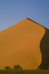 Namib Desert - Sossusvlei, Hardap region, Namibia, Africa: sand Dune 45 - located 45km from Sesriem Canyon - photo by J.Banks