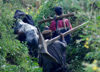 Nepal - Langtang region - ploughmen carrying a plough to the fields - agriculture - photo by E.Petitalot