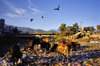 Kathmandu, Nepal: cows and birds feed at a waste dump - there is no organized waste disposal in the city - photo by W.Allgwer
