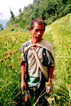 Nepal - Kathmandu district - Kathmandu valley: farmer in a field - agriculture - photo by G.Friedman