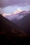 Machhapuchhre mountain, Kaski district, Gandaki zone, Nepal: known as the the Fish Tail Mountain, rises high above the Modi Khola river valley - 6997 m, unclimbed - Annapurna Himal - view from the Bamboo area - photo by G.Friedman