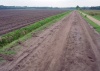 Netherlands - Overijssel: dirt road along the fields (photo by M.Bergsma)