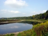 Netherlands - Elsloo (Limburg): river Maas (photo by P.Willis)