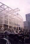 Netherlands - Leiden (Zuid-Holland): bicycle forest at the central train station - Leiden Centraal (photo by Miguel Torres)