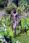 New Caledonia / Nouvelle Caldonie - Noumea: Tjibaou Cultural Center - native dancer of 'Compangnie Nylan' (photo by R.Eime)