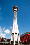 86 New Zealand - North Island - Auckland - Sky Tower - photo by Miguel Torres