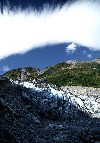 New Zealand - New Zealand - South island: Fox Glacier (photographer: Rob Neil)