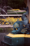 New Zealand - South island: Christchurch - fountain at museum - dolphin - photo by Air West Coast