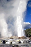 New Zealand - Rotorua: Te Whakarewarewa geyser (photo by Luca Dal Bo)