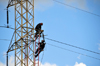 Managua, Nicaragua: workers on an electricity pylon - electric power transmission - photo by M.Torres
