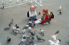 Norway / Norge - Trondheim / TRD (Sr Trndelag): girls feeding the pigeons... and the seagulls (photo by Juraj Kaman)