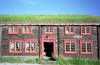 Norway / Norge - Roros (Sr Trndelag): grass covered roof (photo by Juraj Kaman)