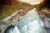 Norway / Norge - Sjen river (Sr Trndelag): rapids (photo by Juraj Kaman)