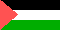 Palestine - flag