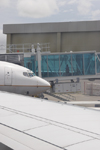 Panama City: Boeing 737-700WL in a jetway - Tocumen International Airport - photo by H.Olarte