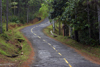 Panama - Cerro Azul: picturesque road - photo by H.Olarte