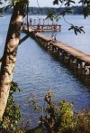 Panama - Bastimentos Island: boat from United Fruit Company picks up the day workers from this pier - photo by G.Frysinger