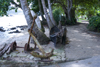 anchor and cayuco - Isla Grande, Coln, Panama, Central America - photo by H.Olarte