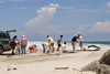 Panama province - a family sets up a gazebo at the beach - photo by H.Olarte