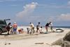 Panama province - a family sets up a gazebo at the beach - photo by H.Olarte