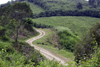 Capira, Panama province: winding country road - photo by H.Olarte