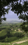 Capira, Panama province: countryside view - photo by H.Olarte