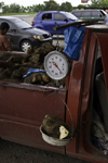 Capira, Panama province: yam on a scale - road side sales from a pick-up truck - ame - inhame - photo by H.Olarte