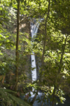 Cerro Azul, Panama province: rainforest waterfall - photo by H.Olarte